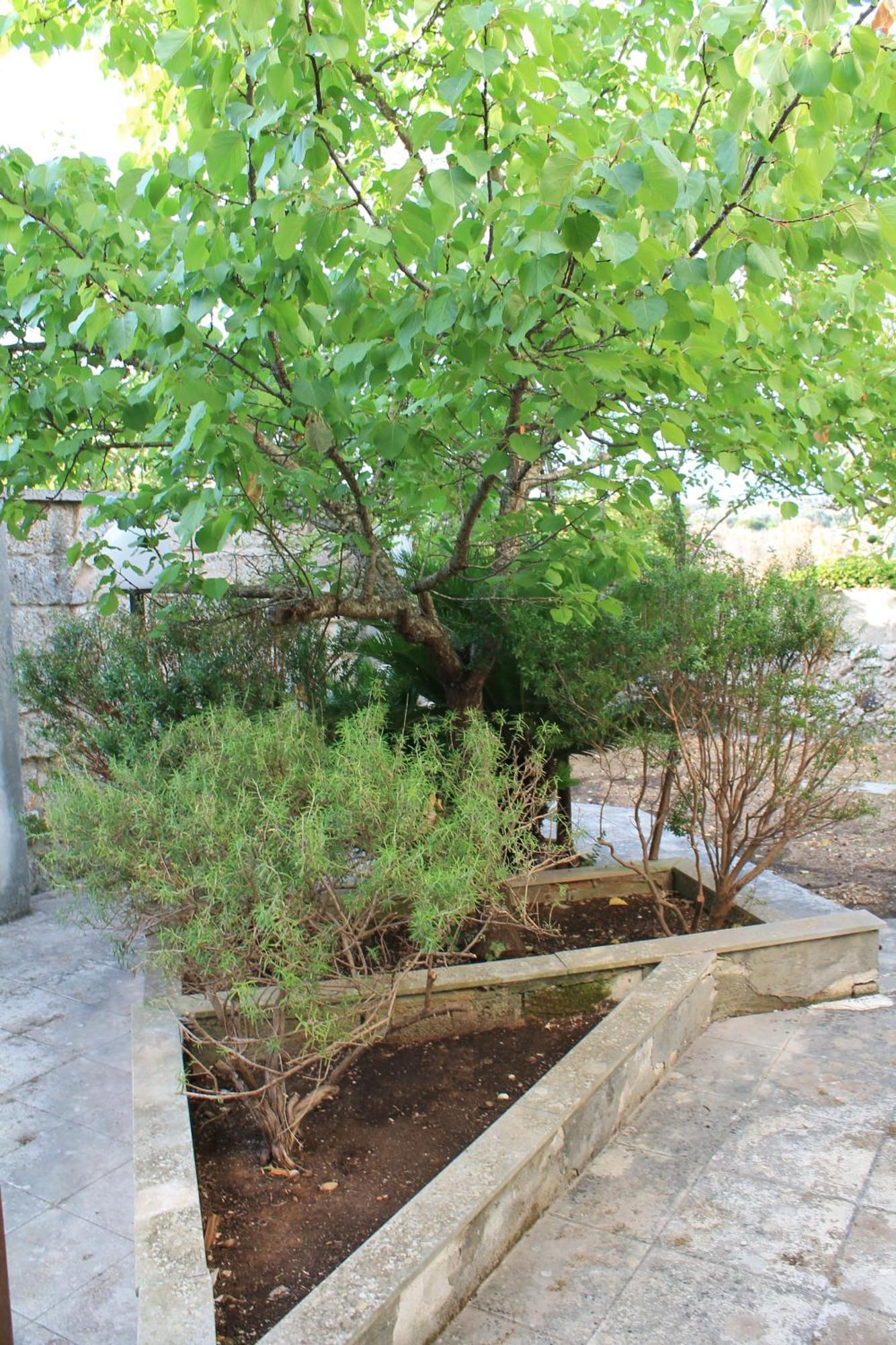 Buen Retiro - Casa Vacanze Depressa Zewnętrze zdjęcie
